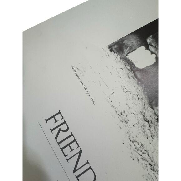 VTG Friends of the Musk Ox Alissa Crandall Poster Artist Signed 1988 Mekoryuk - Picture 6 of 9